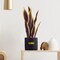 LSU Snake Plant, LSU Faux Snake Plant, LSU Gifts for Men, LSU Gifts for Women, LSU Gifts, Louisiana University Decorations, Office Accessories for Men, Desk Sets and Accessories for Women